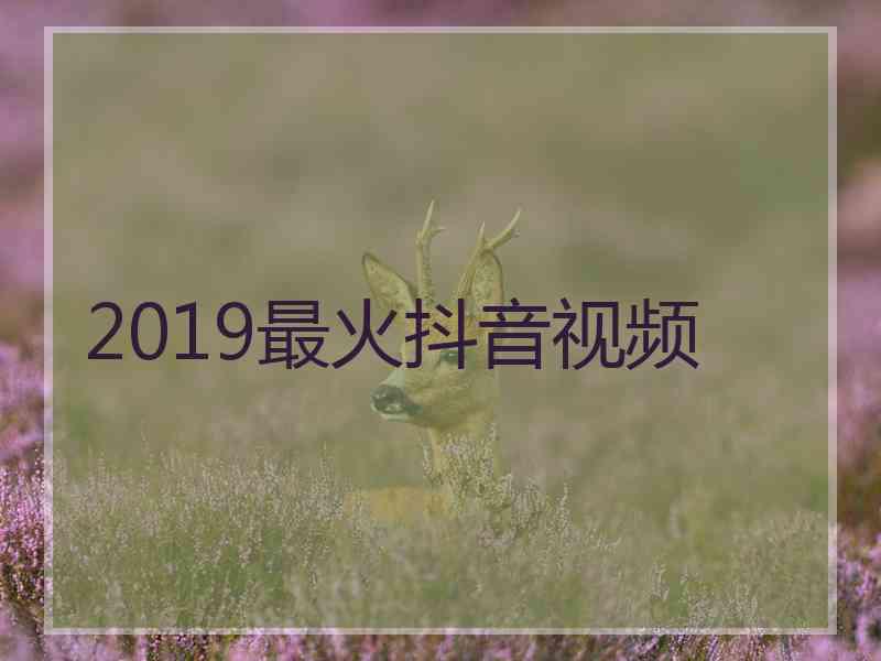 2019最火抖音视频