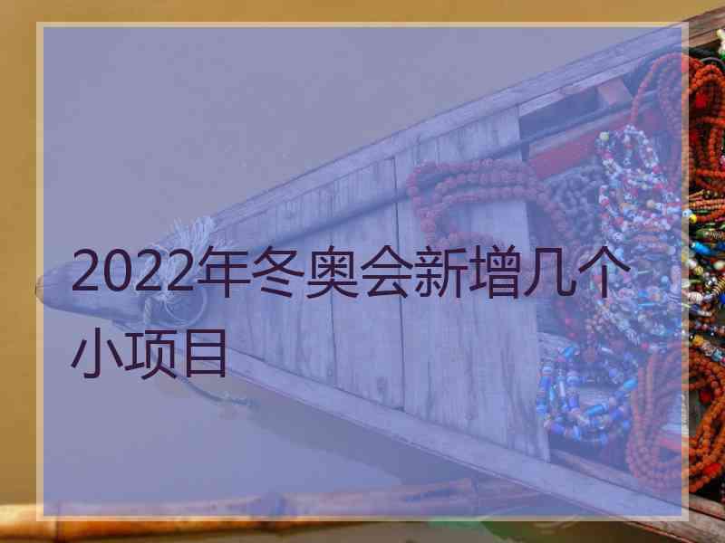 2022年冬奥会新增几个小项目