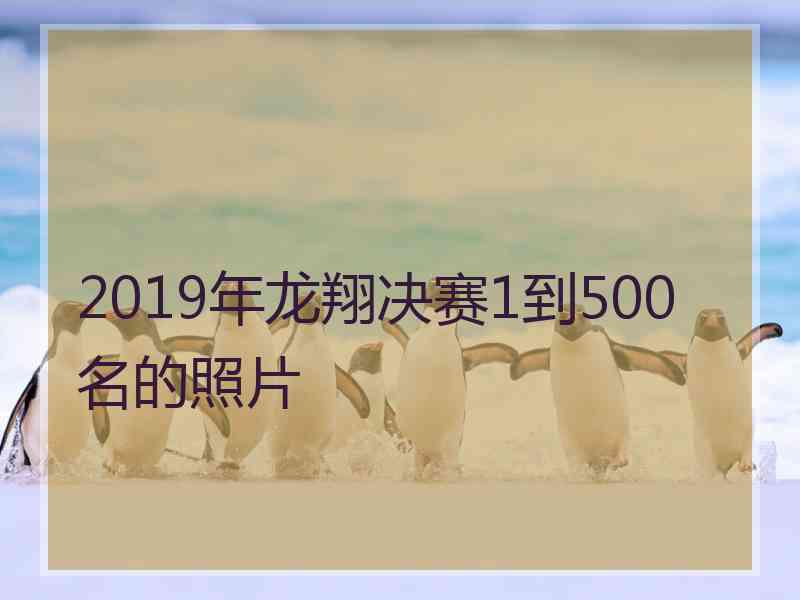 2019年龙翔决赛1到500名的照片