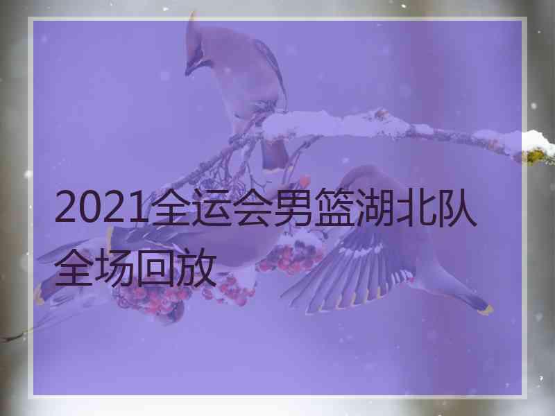 2021全运会男篮湖北队全场回放