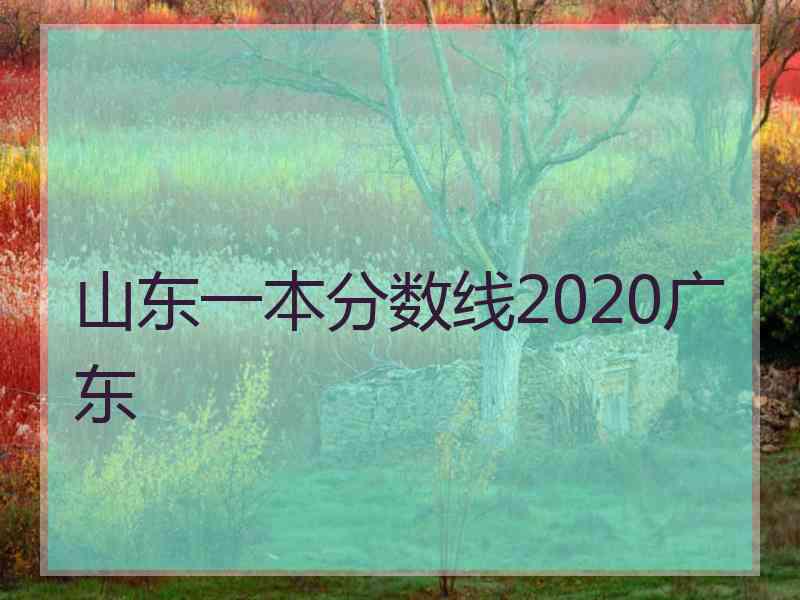 山东一本分数线2020广东