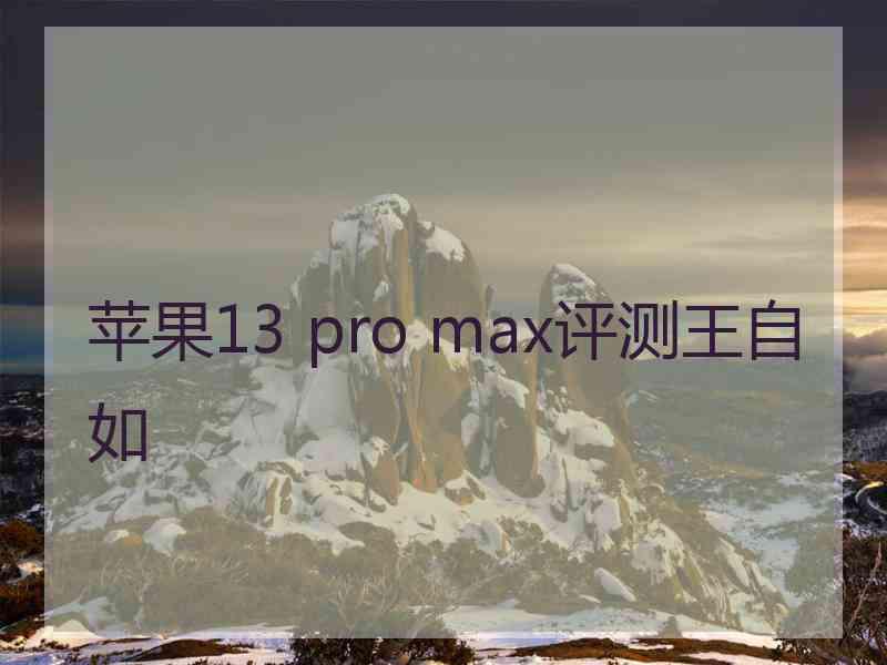 苹果13 pro max评测王自如