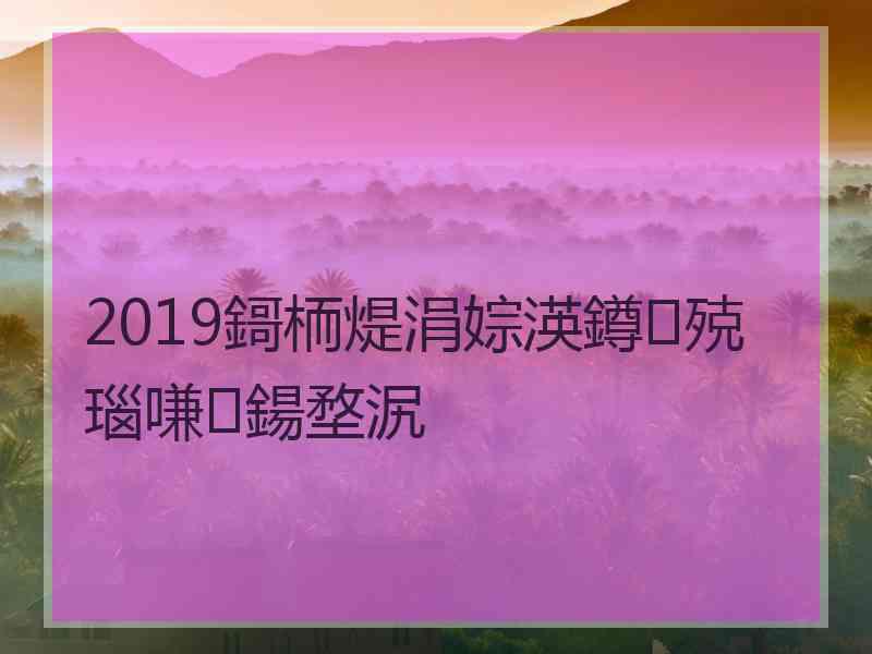 2019鎶栭煶涓婃渶鐏殑瑙嗛鍚堥泦