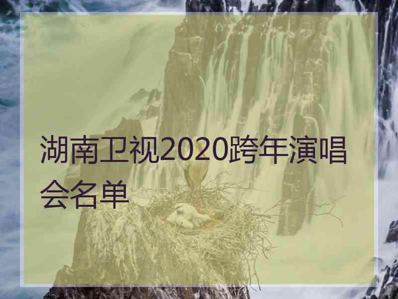 湖南卫视2020跨年演唱会名单