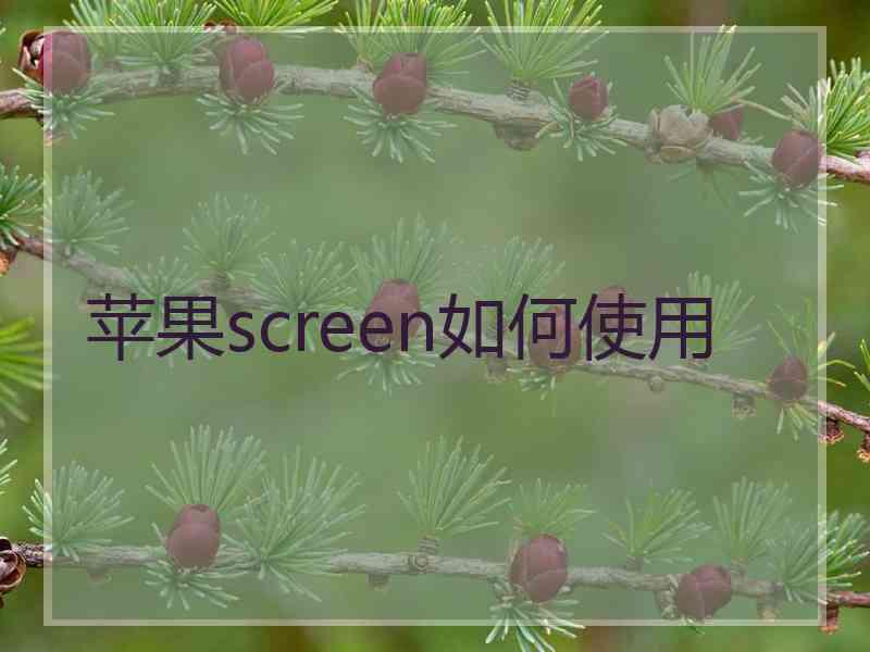 苹果screen如何使用