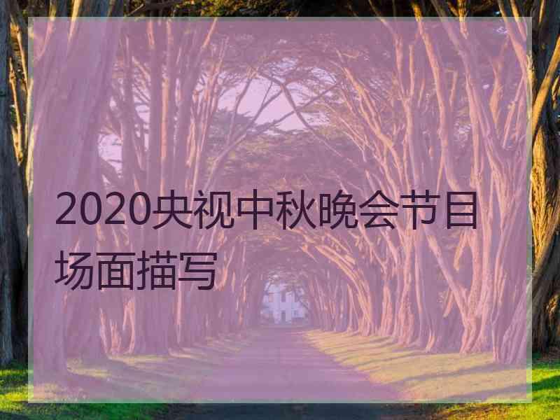 2020央视中秋晚会节目场面描写