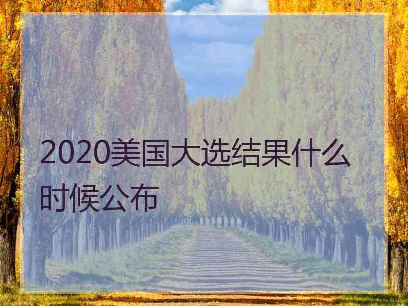 2020美国大选结果什么时候公布