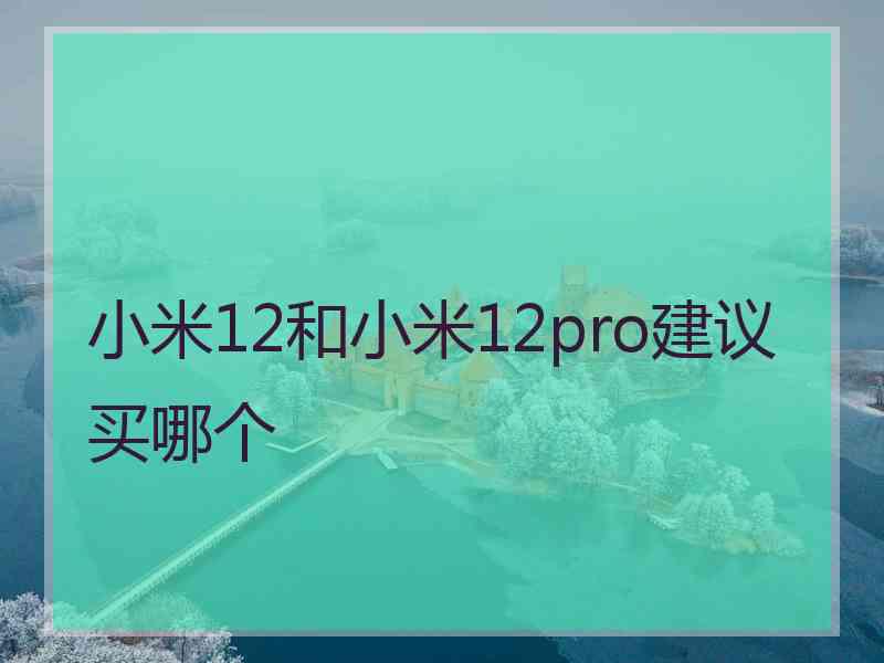 小米12和小米12pro建议买哪个