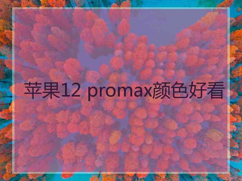 苹果12 promax颜色好看