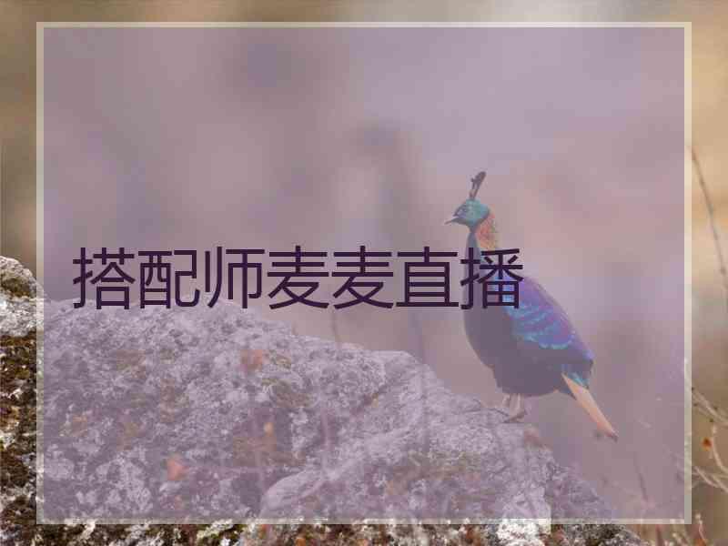 搭配师麦麦直播