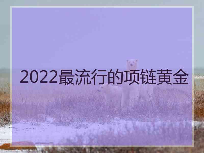 2022最流行的项链黄金