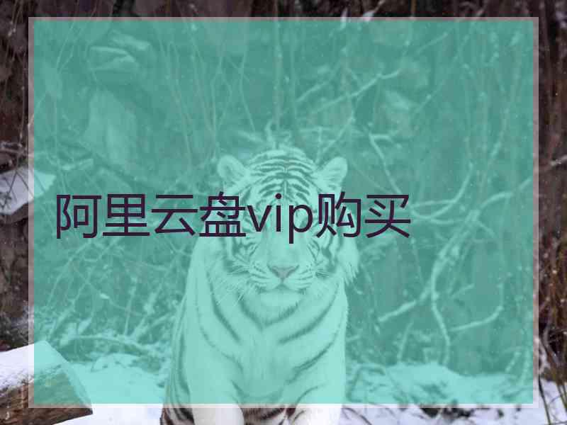 阿里云盘vip购买