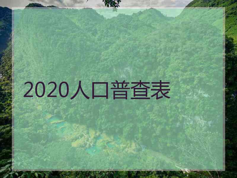 2020人口普查表