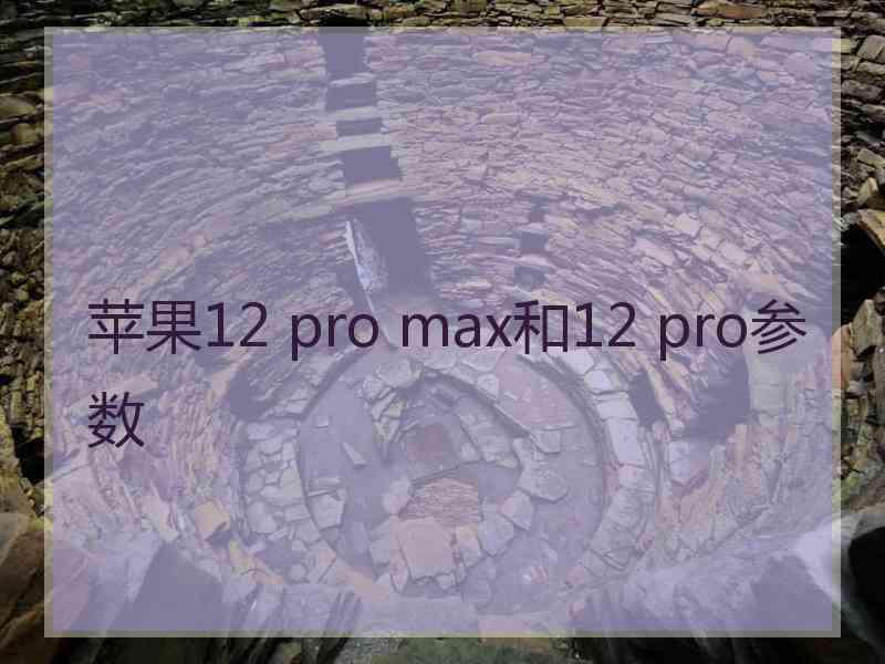 苹果12 pro max和12 pro参数