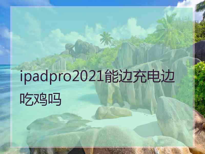 ipadpro2021能边充电边吃鸡吗