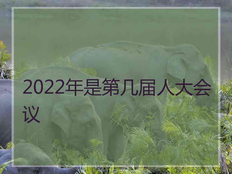 2022年是第几届人大会议