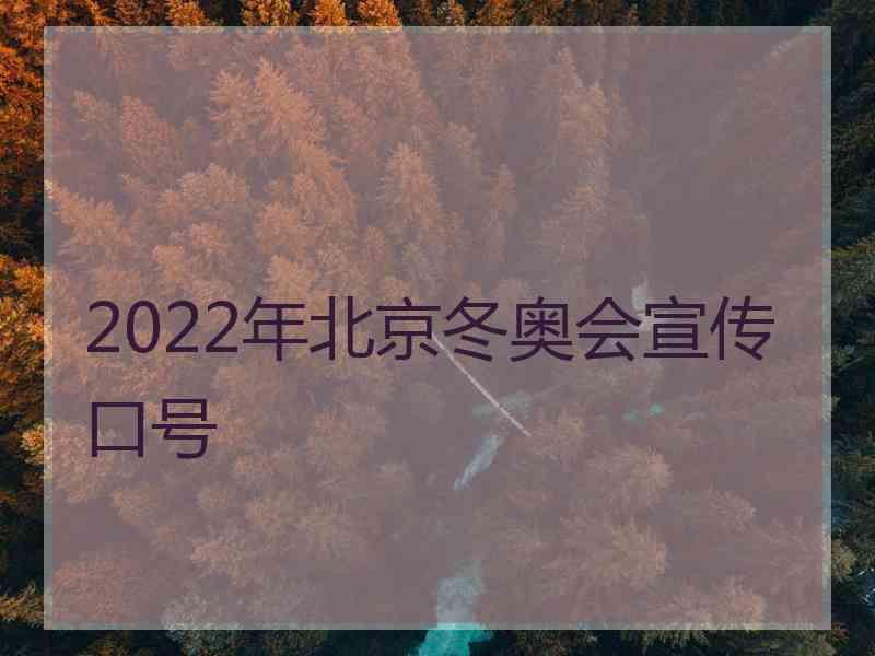 2022年北京冬奥会宣传口号