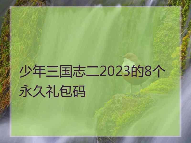 少年三国志二2023的8个永久礼包码