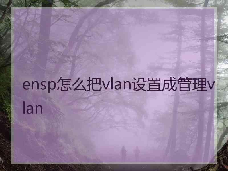 ensp怎么把vlan设置成管理vlan