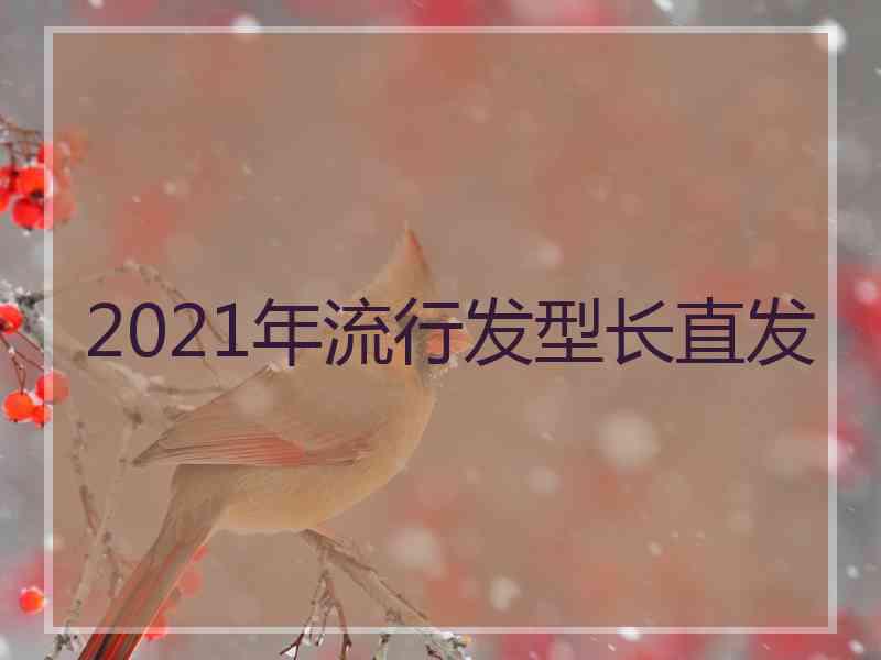 2021年流行发型长直发