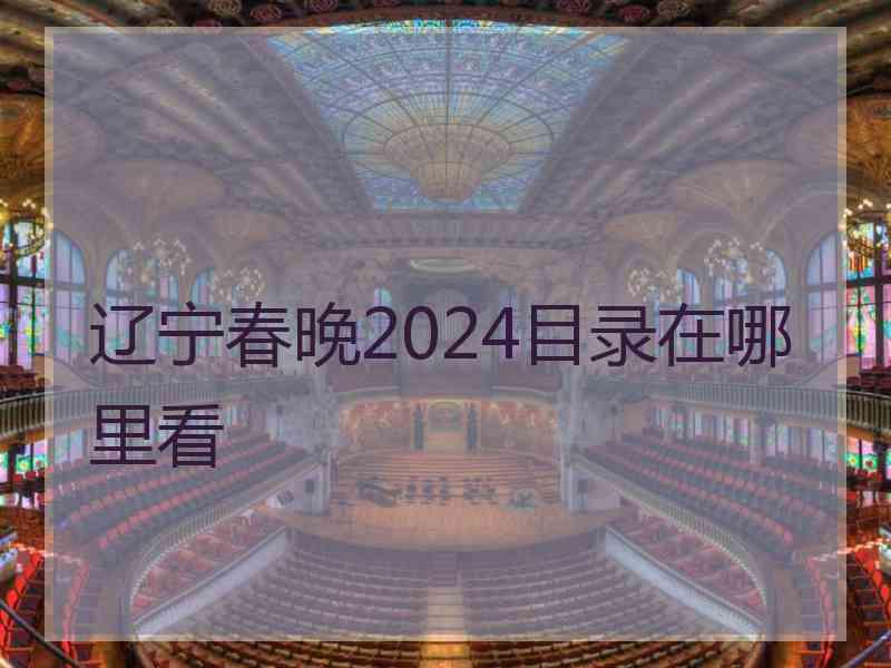 辽宁春晚2024目录在哪里看