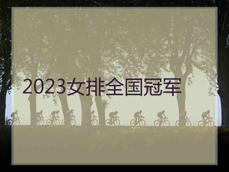 2023女排全国冠军