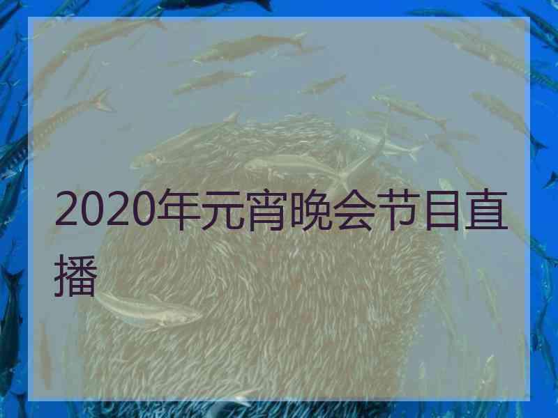 2020年元宵晚会节目直播