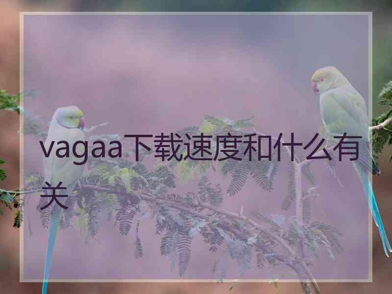 vagaa下载速度和什么有关