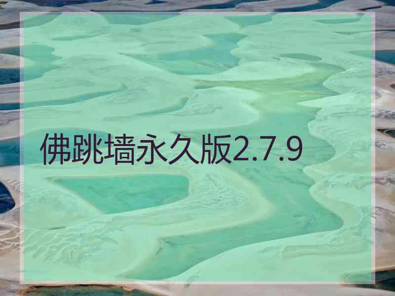 佛跳墙永久版2.7.9