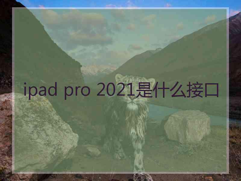 ipad pro 2021是什么接口