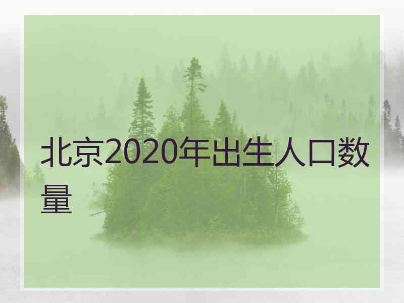 北京2020年出生人口数量