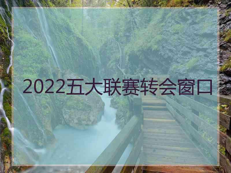 2022五大联赛转会窗口