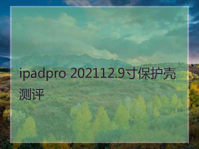 ipadpro 202112.9寸保护壳测评