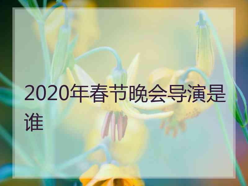 2020年春节晚会导演是谁