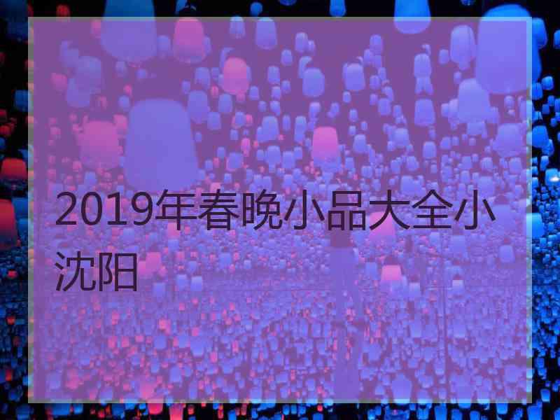 2019年春晚小品大全小沈阳