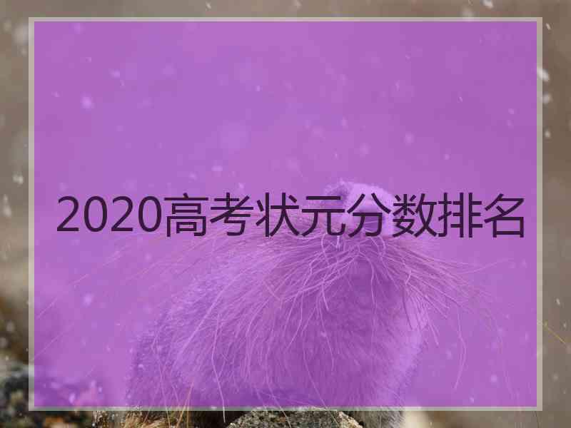 2020高考状元分数排名