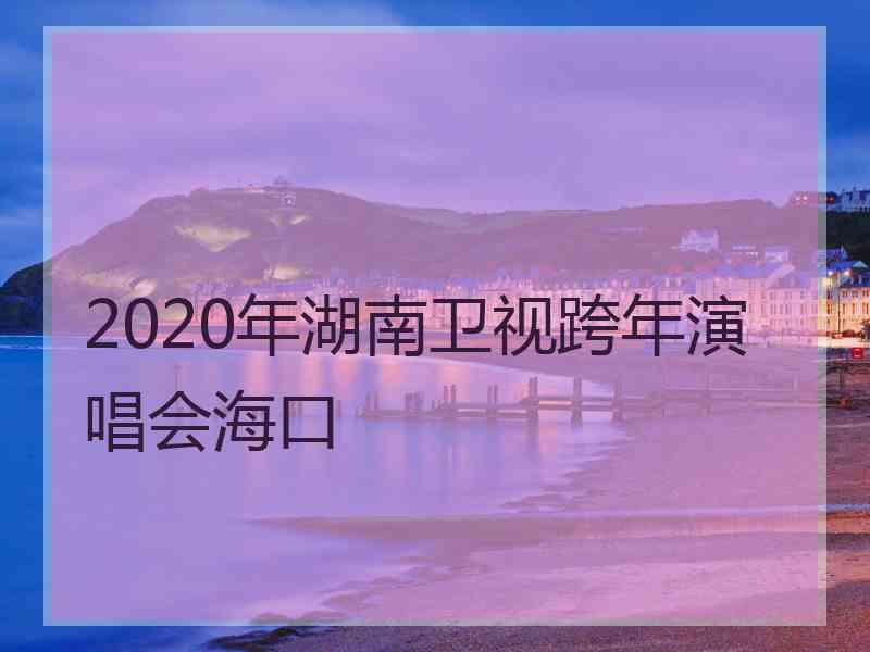 2020年湖南卫视跨年演唱会海口