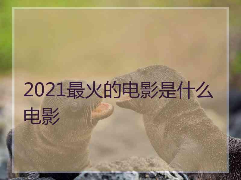 2021最火的电影是什么电影