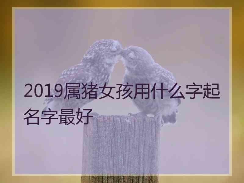 2019属猪女孩用什么字起名字最好