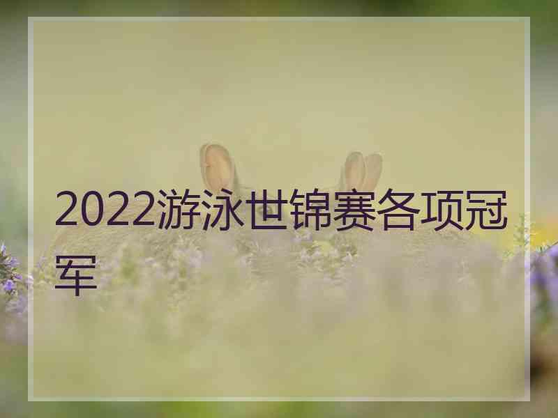 2022游泳世锦赛各项冠军