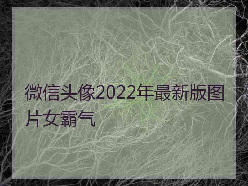 微信头像2022年最新版图片女霸气