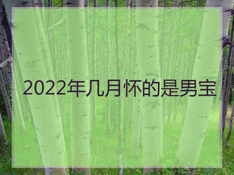 2022年几月怀的是男宝