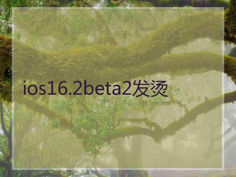 ios16.2beta2发烫