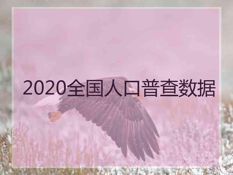 2020全国人口普查数据