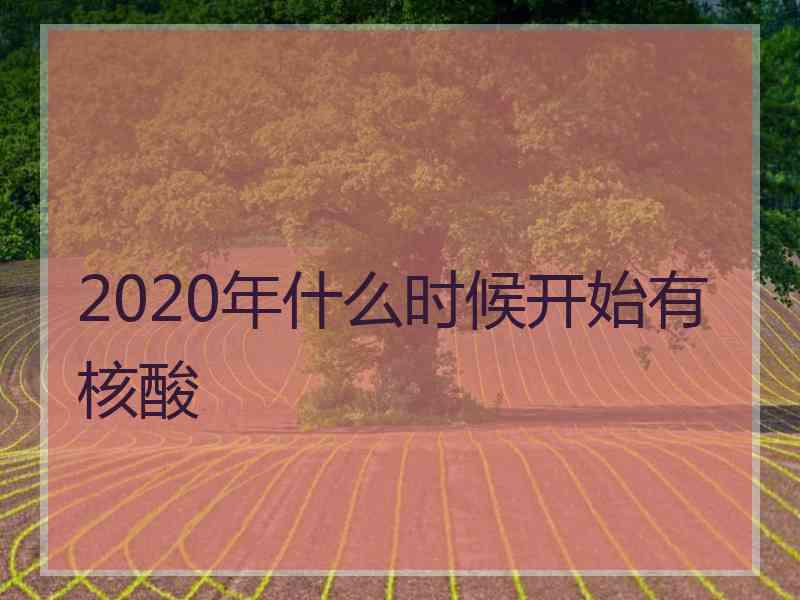 2020年什么时候开始有核酸