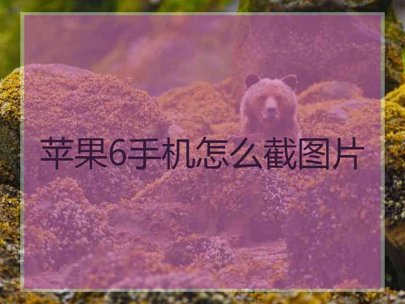 苹果6手机怎么截图片