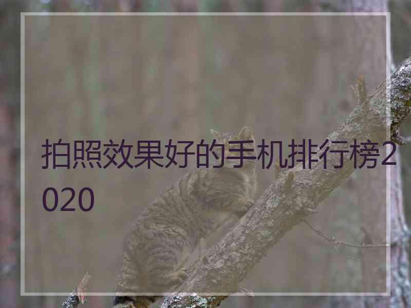 拍照效果好的手机排行榜2020