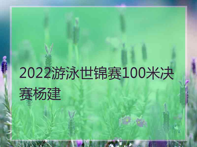 2022游泳世锦赛100米决赛杨建