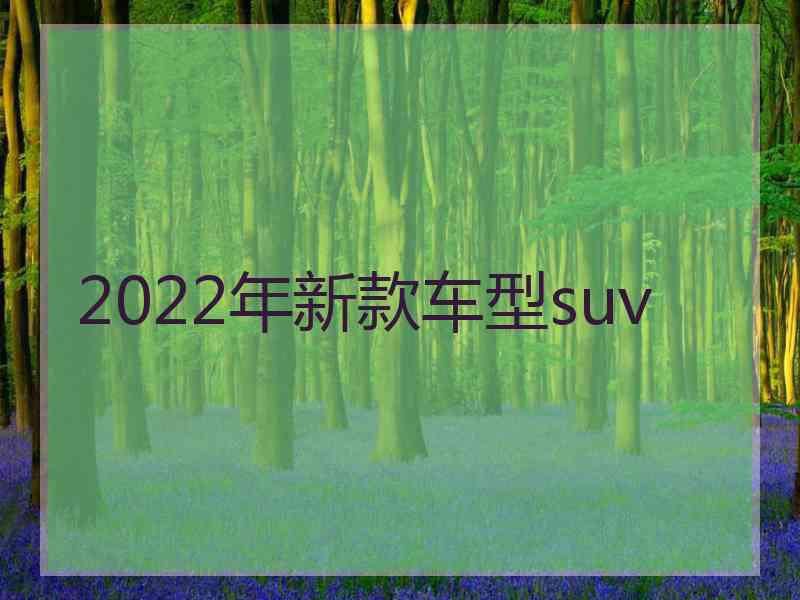 2022年新款车型suv