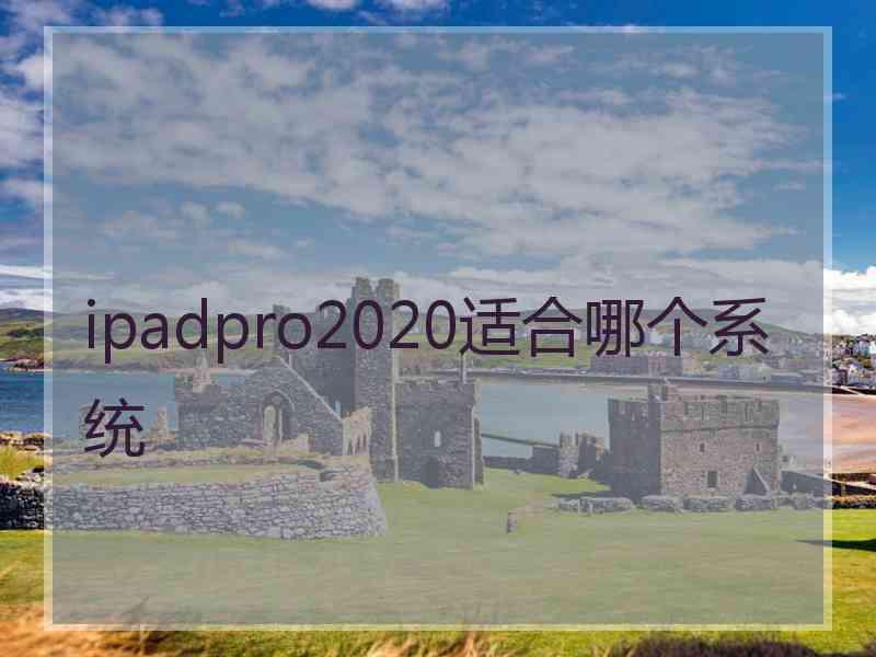 ipadpro2020适合哪个系统